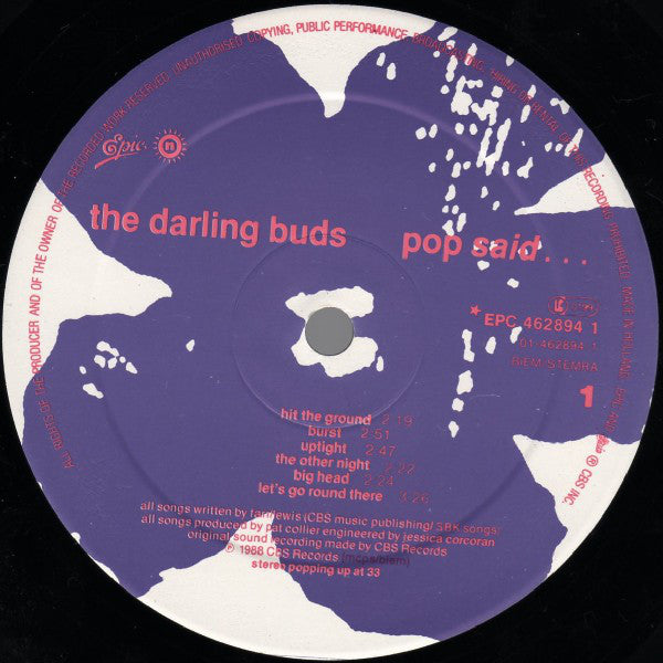 The Darling Buds : Pop Said... (LP, Album)