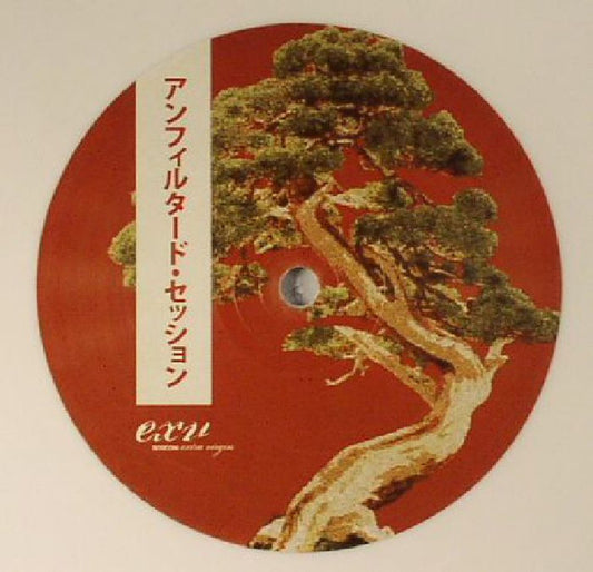 Various : Unfiltered Sessions  -  非フィルタリングセッション (12", Ltd, Smplr, Whi)