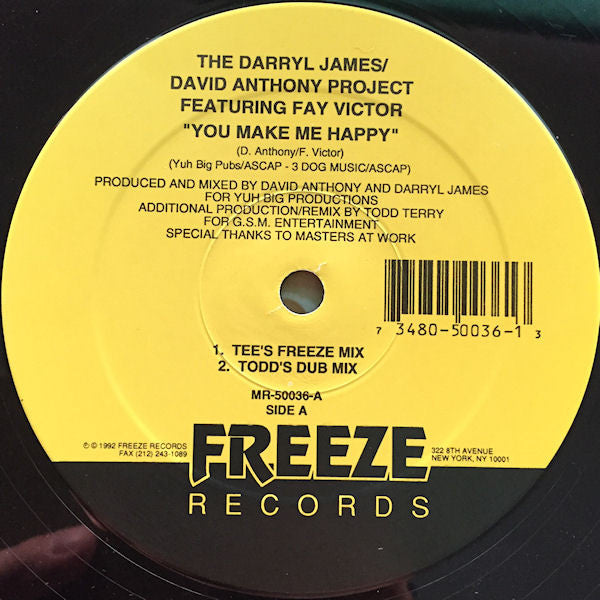 Darryl James & David Anthony Featuring Fay Victor : You Make Me Happy (12")