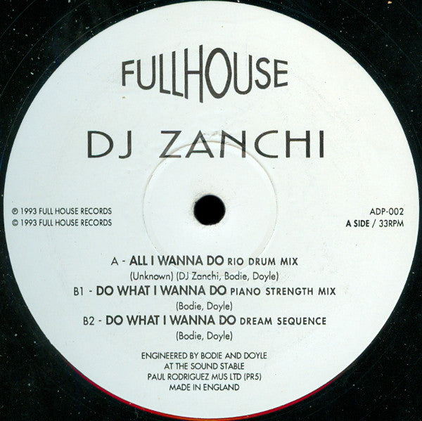 DJ Zanchi : All I Wanna Do (12")