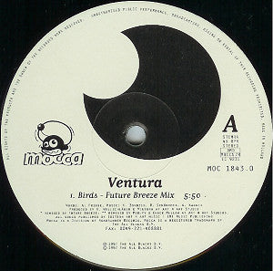 Ventura : Birds (12")