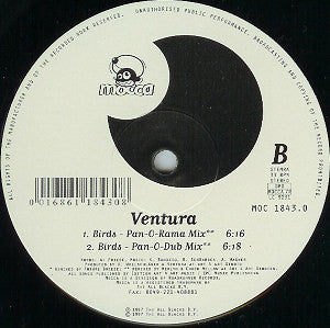 Ventura : Birds (12")